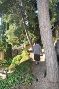 exteriores 7 scaled 1